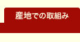 �Y�n�ł̎�g��
