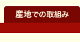 �Y�n�ł̎�g��
